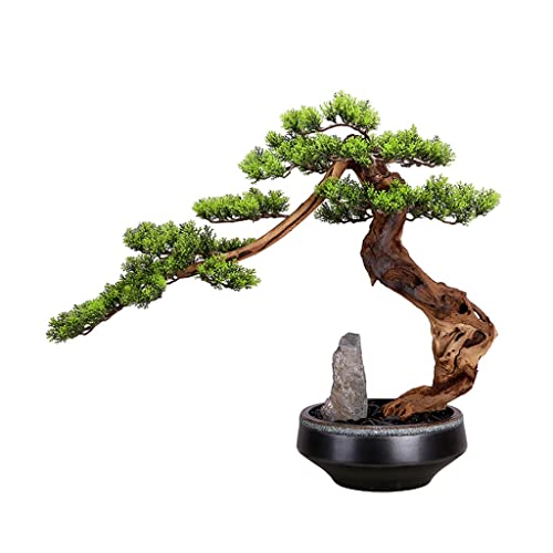 Pin artificiel bonsaï plante sans arrosage pour coin sombre maison