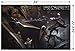 Trends International Dishonored 2 Battle Wall Poster 22.375