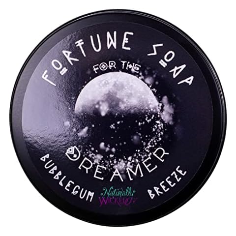 Naturally Wicked Fortune Soap for Dreamers Cover