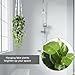 CADNLY Realistic Artificial Plants Indoor in Pot – Green Faux Hanging Plants Artificial Decor Fake Pothos Potted Home Decor Shelves Tabletop Office 1 Pack