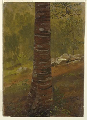 Impression sur toile Tronc d'arbre Jamaïque de Frederic Edwin Church affiche haut de gamme