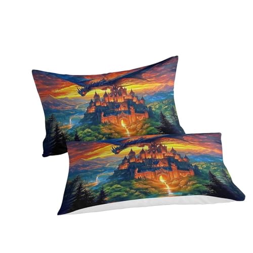 Housse de couette dragon 260x220 anti-plis en microfibre douce