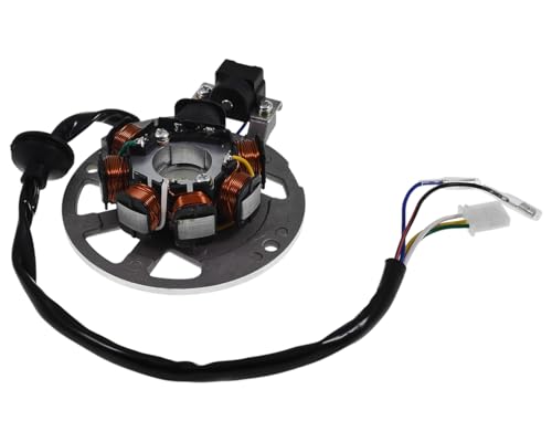 2EXTREME Lichtmaschine Version 1 kompatibel für ATU, Explorer Race GT 50 B92, KEEWAY RY6, TAURIS Samba 2-Takter JL50QT-51, SACHS Speedjet, Speedjet R, KREIDLER Galactica 2.0 DD, LIFAN S-Ray 50ccm