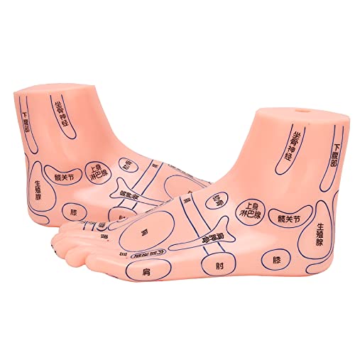 Modelo de Punto de Acupuntura de Pies humanos: Modelo de Masaje de Punto de Acupuntura de Reflexología, Fuentes Grandes y Claras, Material de PVC Duradero para el Aprendizaje en