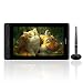 Huion KAMVAS Pro 13 GT-133 Pen Display Drawing Monitor 13.3 Inches Tilt Function Battery-Free Stylus 8192 Pen Pressure