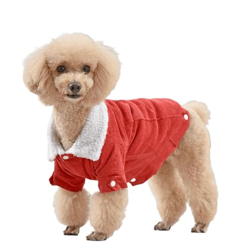 UOSIA ~pR[fCpR[g킢t[XntqphWPbgi{^tylbNjj̎qE̎qpybgnpߗ