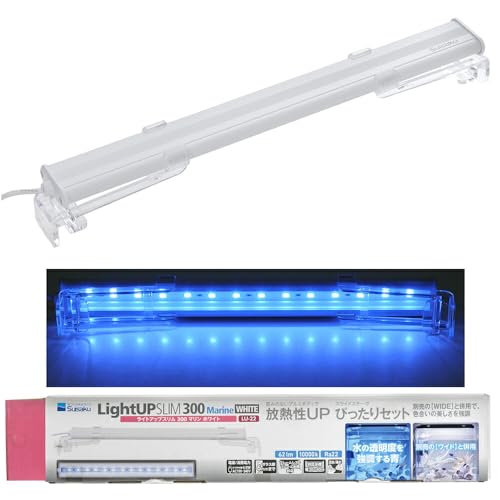  CgAbv SLIM } 300 zCg 30-40cmp