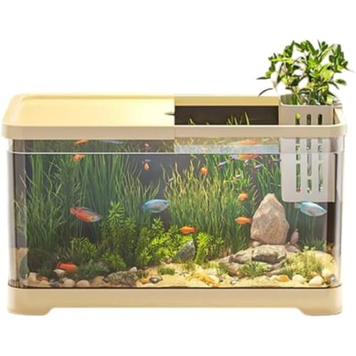 DlwkfXNgbvrO[fA[X^ԊwIȋ^NANVN^[g^NrzVXe+Zbgz[ (S[f,55*30*29.4cm)