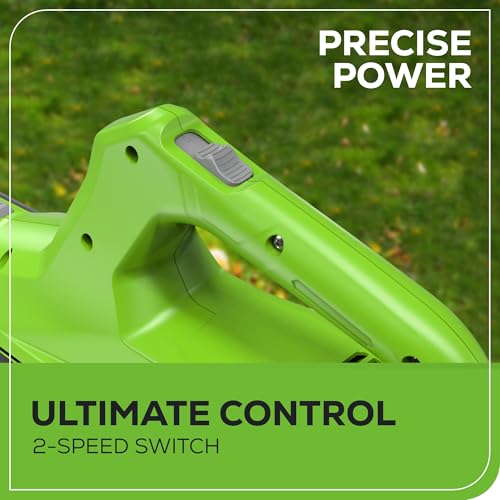 Image of Greenworks 24V (90 MPH / 320 CFM / 200+ Compatible Tools) Cordless Axial Leaf Blower, 2.0Ah Battery and Charger Included