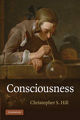 Consciousness view 2