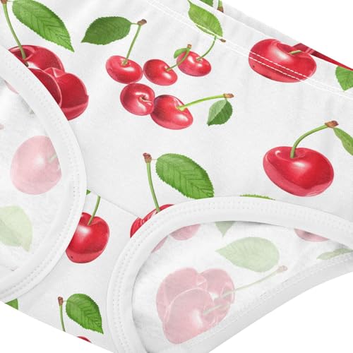 Red Cherry Toddler Girls's Underwear 2T 202c17524