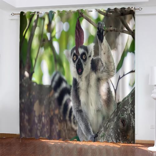 Cortinas Dormitorio Animal Cortinas Salon LéMur de Cola Anillada, Cortina con Ojal para Decorar de la Oficina en el Hogar 2 Piezas 140An x 160Al, Protección de la Intimidad Protección Solar
