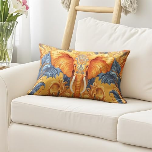 Housse de coussin 50 x 100 coloré velours coussin exterieur