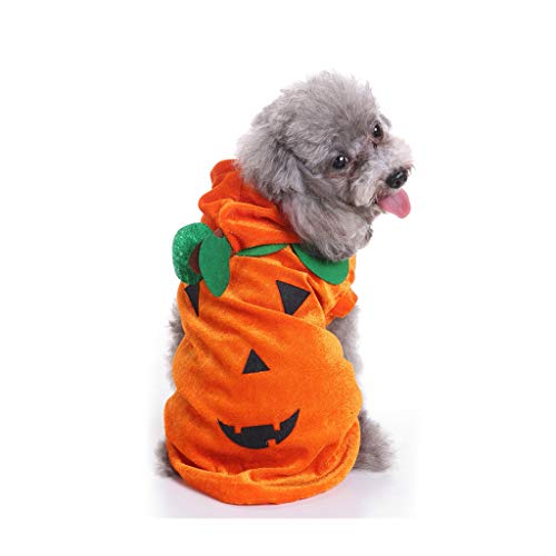 Costume da Crossdresser per Halloween