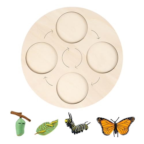 Puzzle éducatif sur les schémas de vie à explorer en famille pour animer les mercredis après-midi