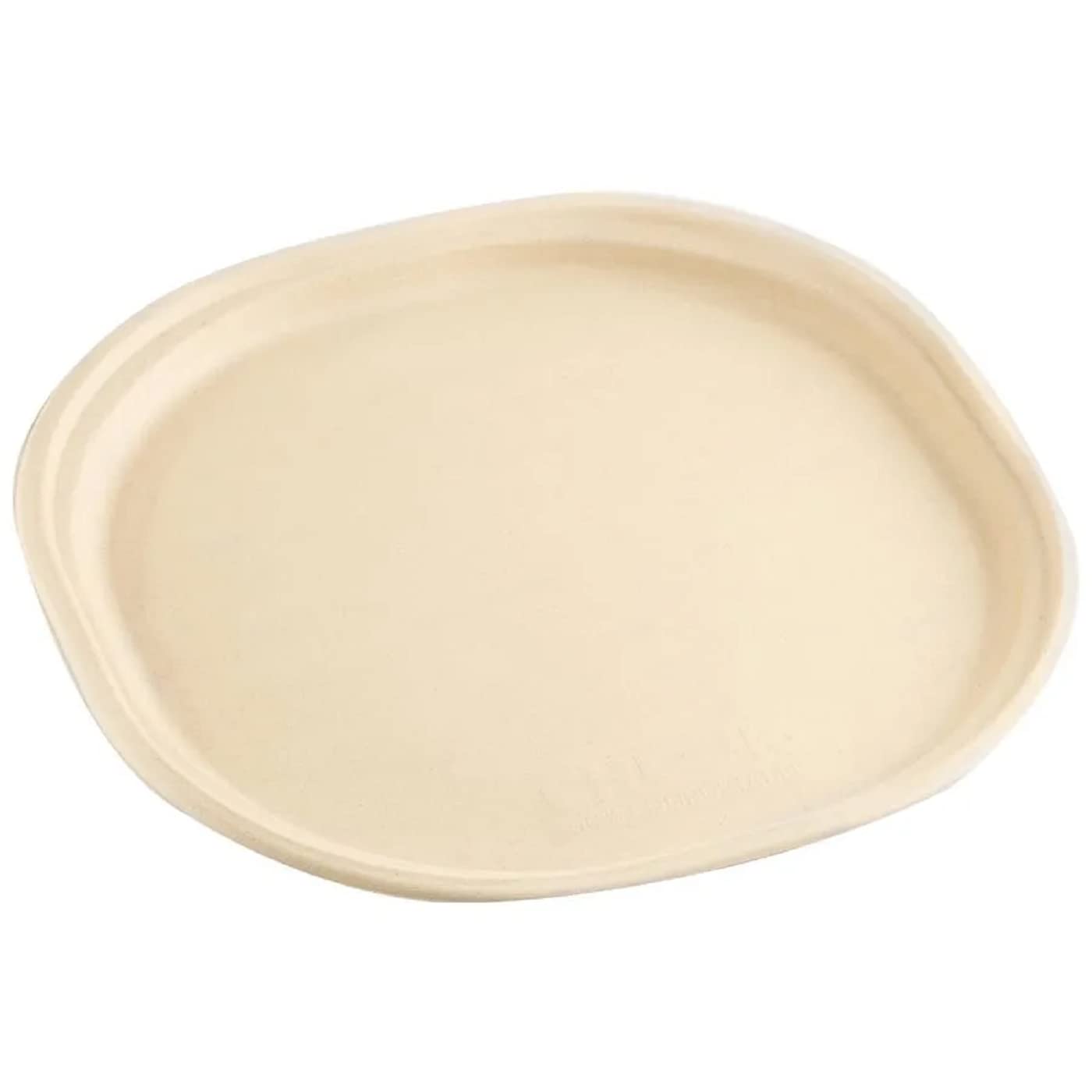 Vissage 100% Biodegradable Ecofriendly 11IN Square Disposable Plate : Pack of 25