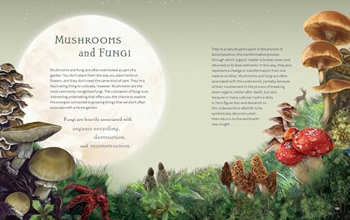 Image of The Green Witch Illustrated: An Enchanting Immersion Into the Magic of Natural Witchcraft (Green Witch Witchcraft Series)