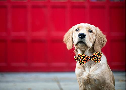 Thankspaw Halloween Hundehalsband Mit Abnehmbarer Fliege – Kürbis-Geist-Muster, Verstellbar Für Alle Größen