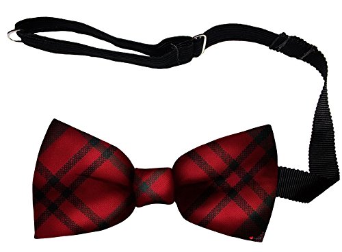 Noeud papillon homme en laine Morrison Red pour mariages et soirées habillées