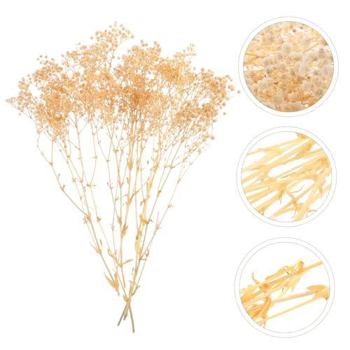 Arreglo de Ramo de Flores Secas Gypsophila Blanco miniatura 7