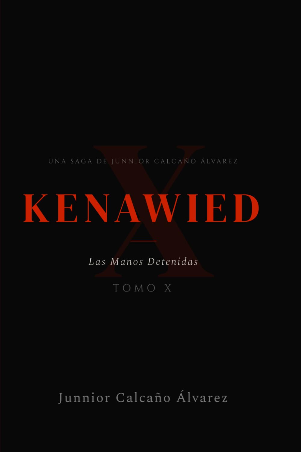 KENAWIED: Las manos detenidas (Tomo 10) (KENAWIED: La Luz Que Oscurece)