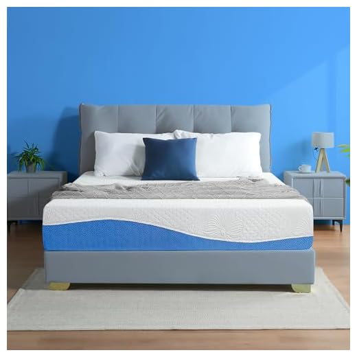 Olee Sleep VC10FM01F Aquarius 10-Inch Memory Foam Mattress in Blue, Full