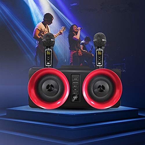 Microphone LLD SD-307 portable double sans fil Bluetooth noir