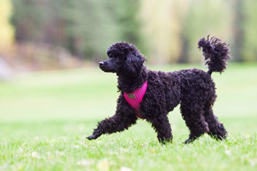 Rukka Pets Mini-Geschirr, Gr. XL, Hot Pink