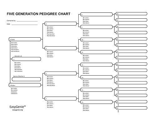 Easygenie 186186 Five Generation Pedigree Charts For Genealogists (7-Pack) | Archival-Quality Genealogy Forms thumb #2