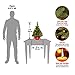National Tree Company Pre-lit Artificial Mini Christmas Tree | Includes Small Lights and Cloth Bag Base | Majestic Fir - 2 ft