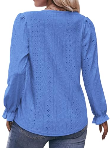 Image of DOLNINE Plus Size Tops for Women V-Neck Puff Long Sleeve Eyelet Drawstring Shirts