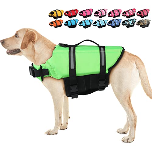 Our Best dog life vest Top 20 Model Reveled! Maine Innkeepers