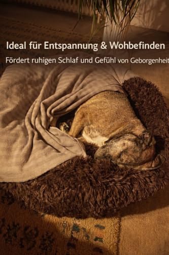 pfoten&nasen® Wolke 7 Hundebett S [Beige, 65 cm] – Flauschiges Donut-Kissen für kleine Hunde & Katzen – Waschbar mit abnehmbarem Bezug
