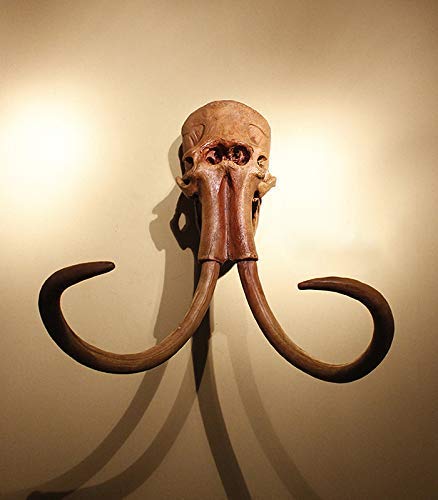 Amazon.co.jp: マンモスの頭蓋骨のレプリカの壁の彫刻の壁の装飾