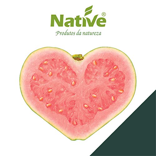 Suco Tropical de Goiaba Orgânica Native 200ml