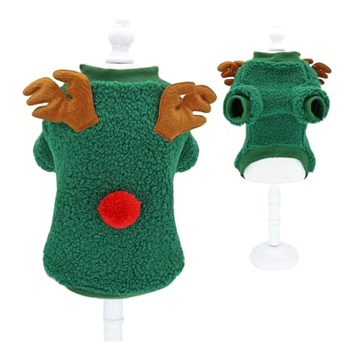 2025 NX}X 킢  R[g q L RX`[ VN ybg pi ^ ^ pOp(306Green,L)