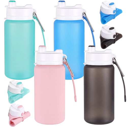 LemonRoad 19 oz Silicone Collapsible Bottles