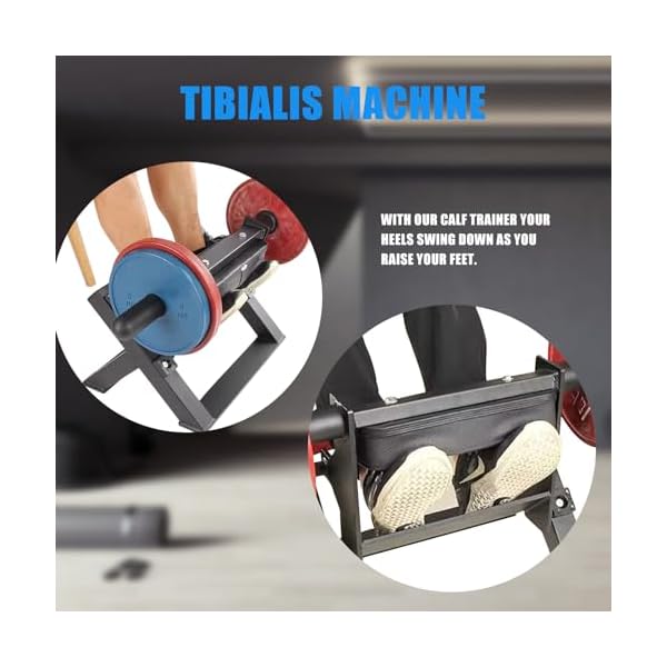 BLUSLM Adjustable Tibia Dorsi Calf Machine, Calf Raise Machine for Leg Stretching, Tibialis Trainer, Strength Training Leg Equipment, Fit 2 Inches Weight Plates 5 BLUSLM Adjustable Tibia Dorsi Calf Machine, Calf Raise Machine for Leg Stretching, Tibialis Trainer, Strength Training Leg Equipment, Fit 2 Inches Weight Plates - Image 5
