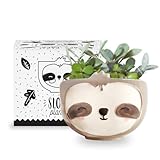 Apa la Papa, Sloth Animal Ceramic Planter, 5 x 5 x 4 in., Exclusive Ceramic Animal Planters for Indoor and Outdoors, Cute Hand Painted Designed in Argentina, Convenient Drain Hole