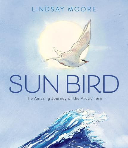 Sun Bird: The Amazing Journey Of The Arctic Tern