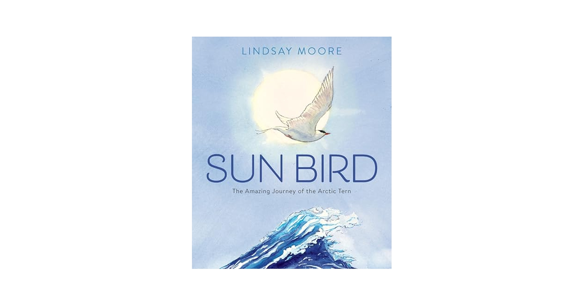 Sun Bird: The Amazing Journey of the Arctic Tern Told in
