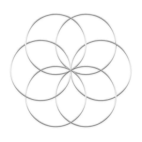 Worown 6pcs 20cm Floral Wreath Hoops, Silver Metal Rings for Making Wedding Wreath Decor and Wall Hanging Craft Cover