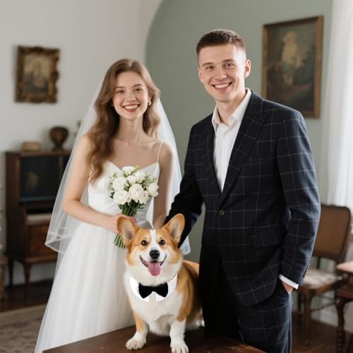 Fliege für Hunde, Hundeanzug Hochzeit Accessoire, Fliege Hund verstellbar, Hunde Fliege für Formelle Anlässe, Hochzeits-Kostüme, Party (L)