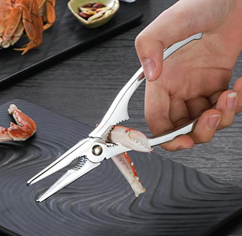 Pinza per Crostacei, Pinza per Aragoste e Scampi