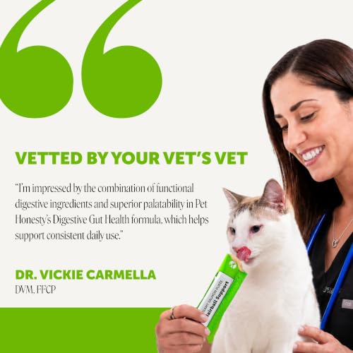 Image of Cat Probiotic Lickable Treats for Digestive Health - Squeezable Puree Pouches for Cats - Feline Constipation + Promotes Stool Regularity, Prebiotics Fiber Gut Flora Sensitive Stomach (Salmon, 20 Ct)