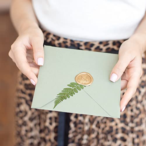Fabbay 200 Pcs Pressed Dried Flowers Leaves Real Natural Ferns Dried Leaves Plant Dried Greenery for Resin Art Arrangements Home Wedding DIY Crafts Decors Card Scrapbooking