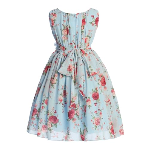 BluNight Little Girl Sleeveless Chiffon Easter Wedding Flower Girl Dress SZ 4-202