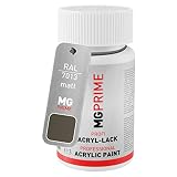 brown gray paint Ideal para pintar piezas de carrocería y piezas de plástico o para utilizar en el ámbito de los hobbies, las manualidades y el modelismo