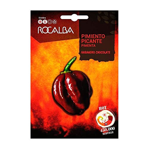 Semillas Pimiento Picante Habanero Chocolate Rocalba