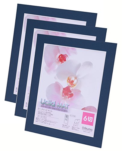 【まとめ買いセット】 Chikuma フォトフレーム Uclidマット 6切 アイ 3枚セット 15866-0